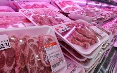 국내산 삼겹살 1년새 7% 올라…소고기는 평년보다 약세