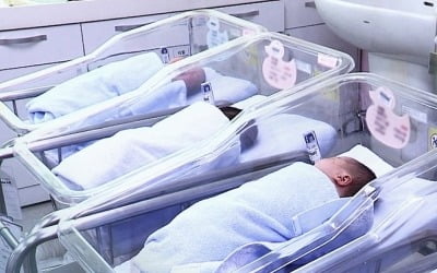 출생아 숫자는 줄었지만…"결혼 생각 있다" 3년 새 11%p 올라