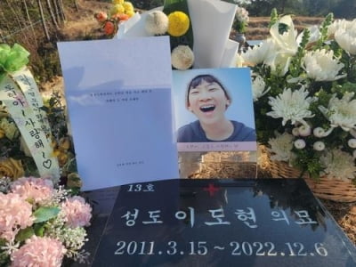 강릉 손자 사망 '급발진 소송' 오늘 1심 선고…'페달 오조작' 여부 쟁점