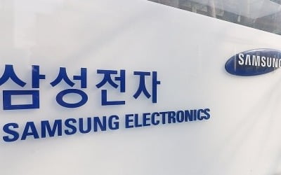 [단독] 절치부심 삼성전자, 플렉트그룹 인수한 무기는 '속도전'