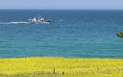 전국 낮 기온 25도 이상…오후부터 중부지방 비