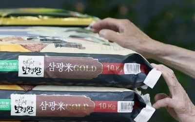 정부 비축미까지 풀었는데…일본 쌀값 98.4% 폭등