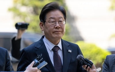 "대법원 파기환송은 사법 쿠데타"…친李 변호사단체 등장