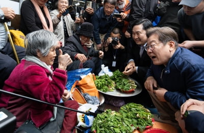이재명 측 "피습 모의 제보 잇따라…대인 직접 접촉 어렵다"