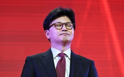 "계엄 앞 떳떳" 외친 한동훈…결국 넘지 못한 단일화-반탄 여론