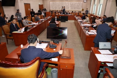 [속보] 민주, 법사위 소위서 '대통령 당선시 재판정지' 형소법 처리