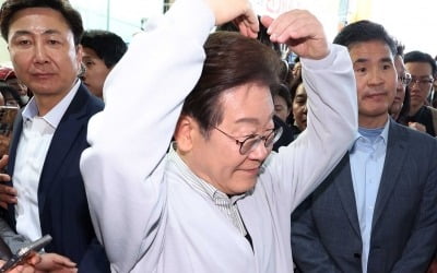 민주당, 헌법 84조 논란 종결? '대통령 당선시 재판정지' 소위 통과