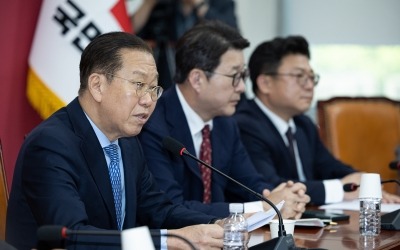 [속보] 권영세 "김문수 판단 잘못해 패배시 역사에 큰 죄"