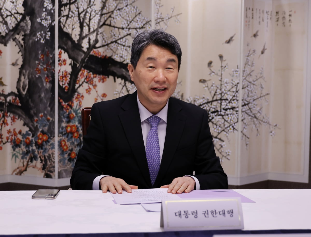 이주호 대통령 권한대행 부총리 겸 교육부 장관이 26일 서울 종로구 정부서울청사에서 열린 경제안보전략 간담회에서 발언하고 있다. 사진=뉴스1