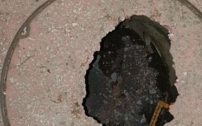 "길가다 봐도 절대 밟지 마세요"…장마철 발밑 조심 '경고'