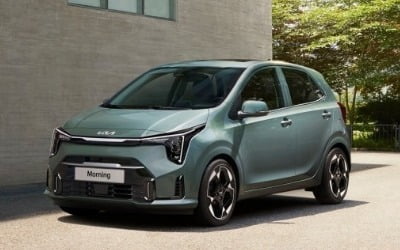 '피칸토? 대체 누구냐 넌'…유럽인들 열광하는 한국車 뭐길래