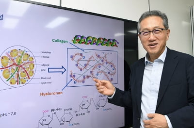 "할로자임 특허 분쟁 불확실성 해소" 평가에…알테오젠 급등
