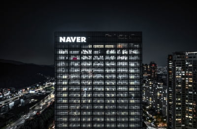 "NAVER, AI 에이전트 경쟁력에 정책 모멘텀까지…목표가↑"-하나