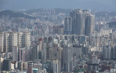 한국부동산개발협회 "새 정부, 침소봉대 규제보다 공급확대로 믿음 줘야"