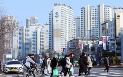 올해가 경매 시작 적기라는데…'권리 분석' 알고 시작해야