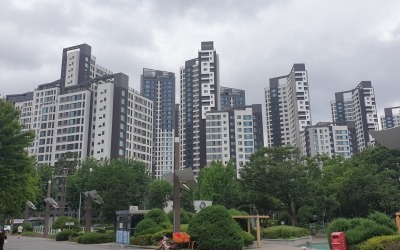 "재건축 매물 거둬들였다"…'로또 청약'에 들썩거리는 과천 가보니 [현장+]