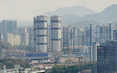 "15억 아파트가 5억에 풀린대"…관심 폭발하더니 '청약 연기'