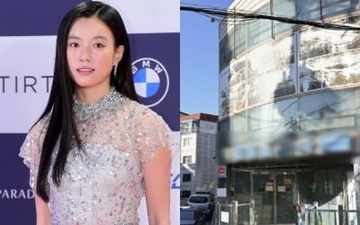 한효주, 은평구 빌딩 웃돈 주고 사더니…'27억→70억' 초대박