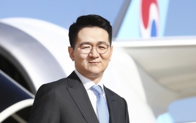 조원태 "새 정부, 美 관세로부터 항공산업 보호 필요"