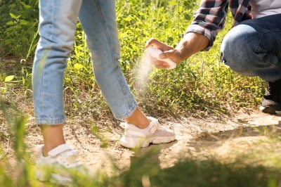 "여행 중 모기 안 물리는 게 최선"…2년 만에 지카바이러스 환자 발생