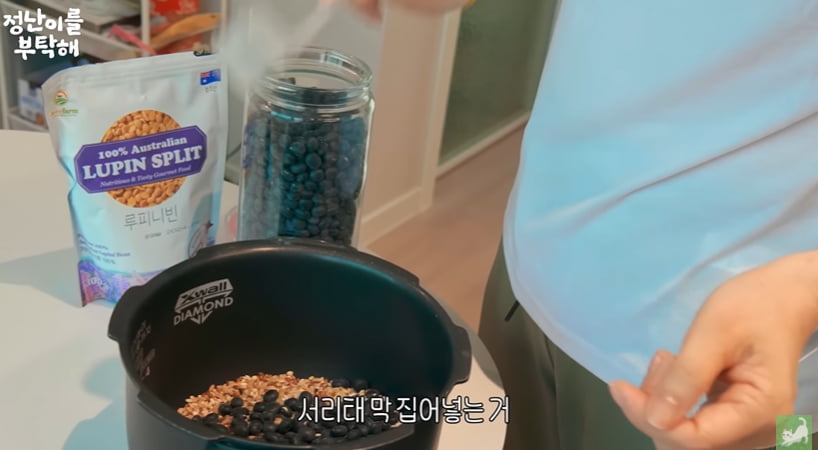 /사진=유튜브 김정난