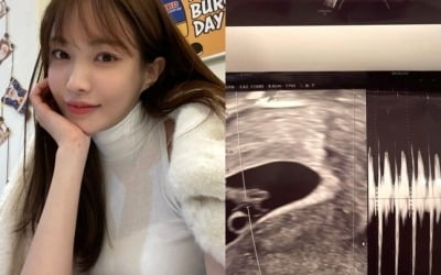 임신 폭로 뒤 고소당한 서민재, 유서 올리고 '잠적'