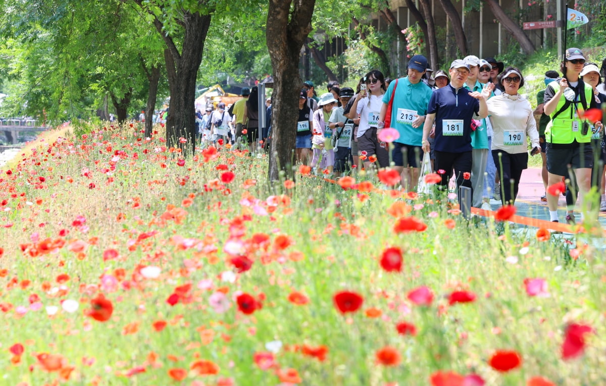 [포토] 더블유 토토 황금보리축제 함께 걸어요~