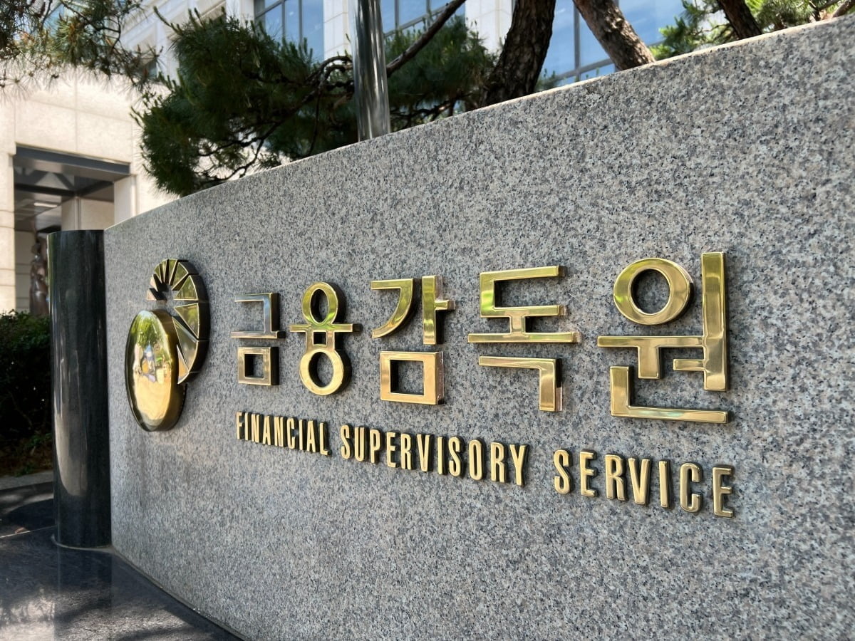 서울 여의도 금융감독원 /사진=노정동 기자