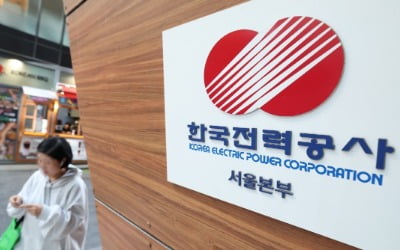 '물가 잡으려면 요금 못 올릴 것' 10% 급락한 한국전력