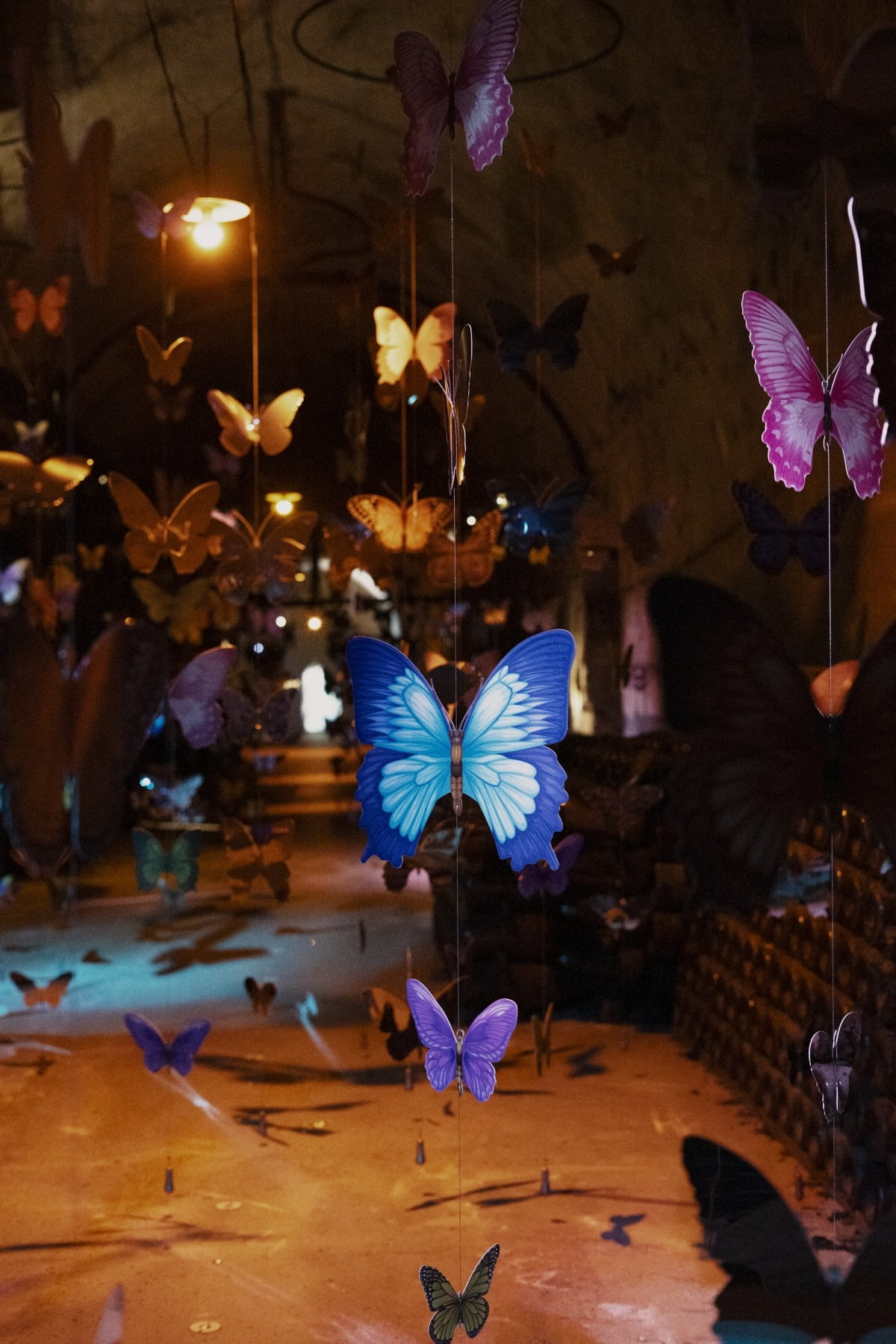 Encoreunestp <#papillonsdansleventre>(2024) / 사진. ©Mathilde Giron