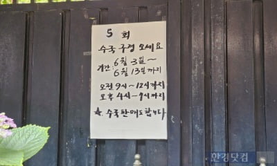 "딱 일주일만 공개"…혼자 보기 아깝다는 '비밀의 정원' 정체는