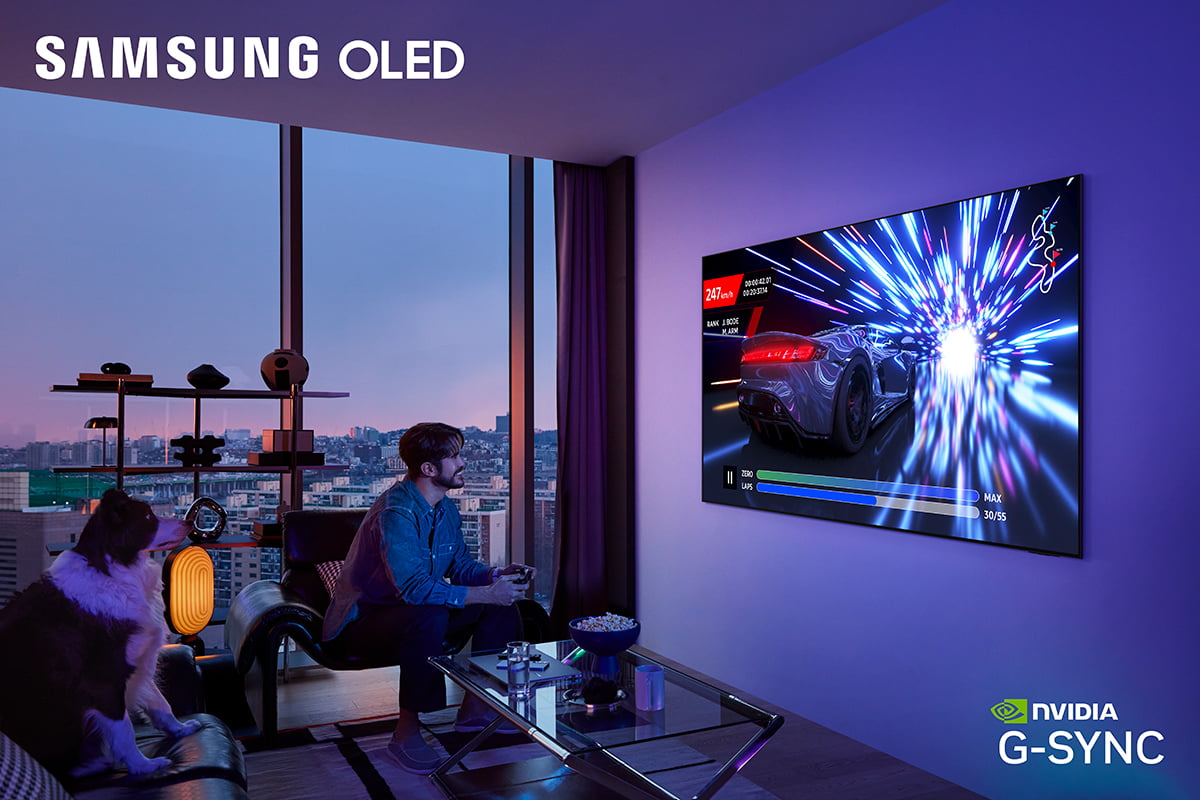 삼성전자 OLED TV