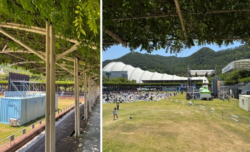 무주산골토토사이트 주인공 가입, 등나무 운동장 전경 / 사진. ©허남웅