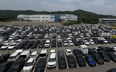 "한국차 없어서 못팔아요"…해외서 불티나게 팔리는 K-중고차 르포
