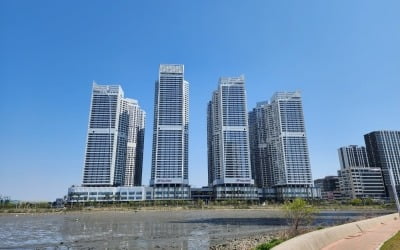 "1억 마피에도 산다는 사람이 없다"…반달섬의 '눈물'