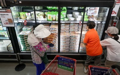 "마트 문 닫는다고 전통시장 가냐"…李대통령 팬카페도 술렁