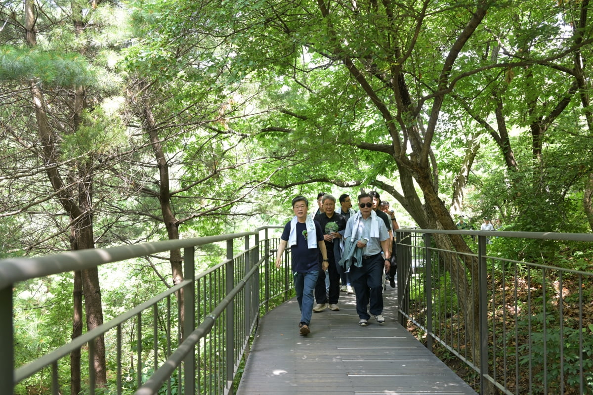 "서울에 이런 숲이?"…1500명 웃음꽃 핀 중구 '남산숲길 페스타'