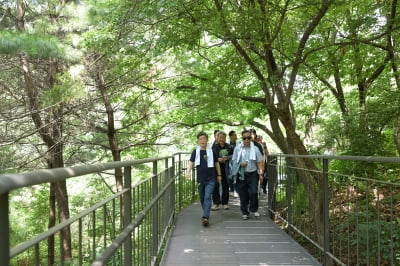 "서울에 이런 숲이?"…1500명 웃음꽃 핀 중구 '남산숲길 페스타'