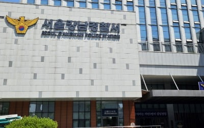 사이드미러 펼쳐진 車 노렸다…강남 한복판서 차량 턴 10대들