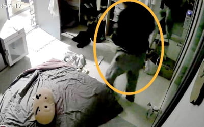 피해여성 집 떠났는데…경찰, '스토킹 기각' 영장 다시 낸다