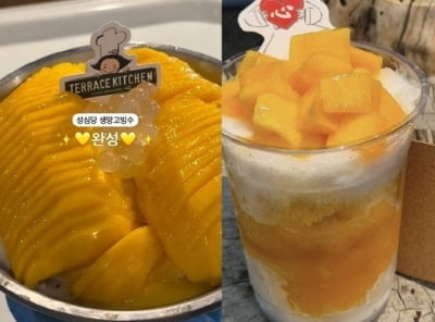 15만원 '호텔 빙수' 뺨치네…성심당 들렀다가 '화들짝'
