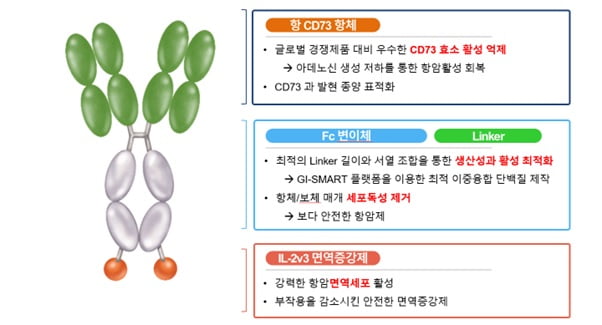GI-108의 구조 및 기전. 지아이이노베이션 제공