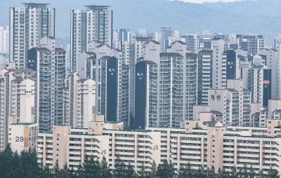 전세자금 대출 받아 집 42채 샀는데…국토부, 손 놓고 있었다
