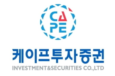 "대표가 투자회수 막아 전액 손실"…케이프證, 금감원 분조위로