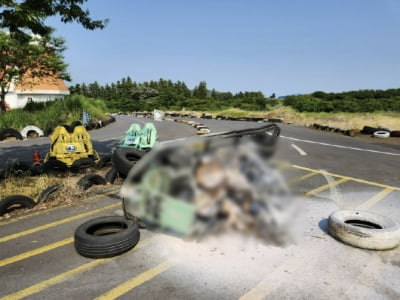 제주서 카트 사고로 화상 입은 10대 결국 사망