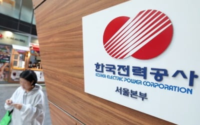 "신고가 찍었어요"…한전 '전기요금 동결'에도 주가 뛴 이유