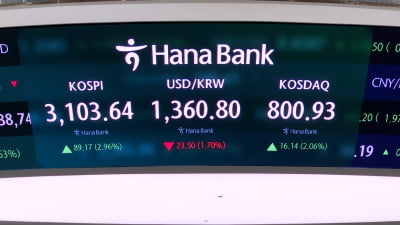 코스피, 3년 9개월 만에 '3100선 탈환'…코스닥도 800선 회복 [HK영상]