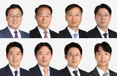 새정부 '규제개혁솔루션팀' 만든 화우, 디엘지는 모빌리티 규제 컨설팅 [로앤비즈 브리핑]
