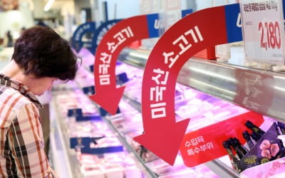 몸값 귀해진 수입산 소고기…미국산 35%↑ 호주산 25%↑ [프라이스&]