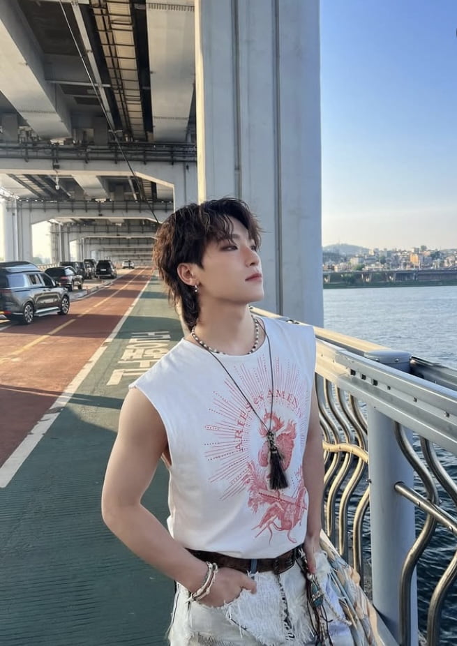 SEVENTEEN's Dino Purchases Luxury Apartment in Seoul's Elite District